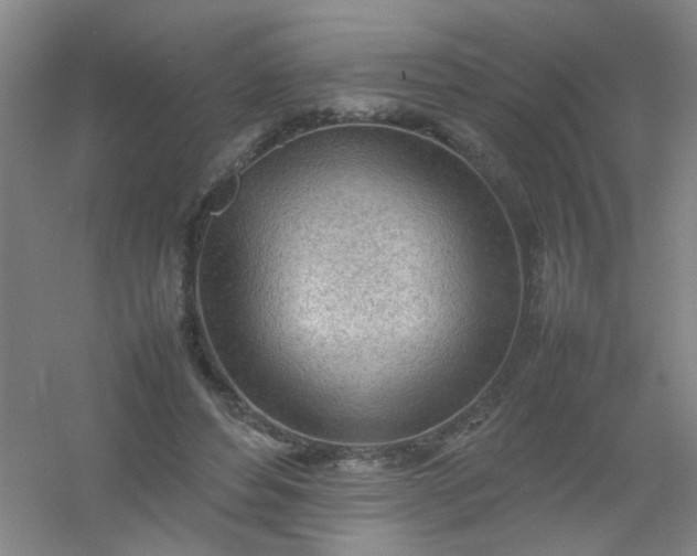 X0000054430496200508121822