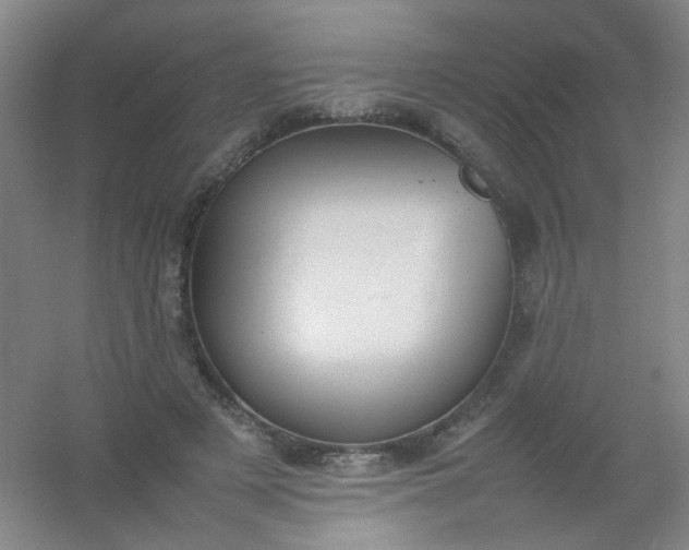 X0000054430497200508121822