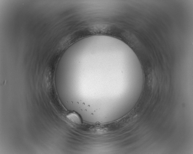 X0000054430498200508121822