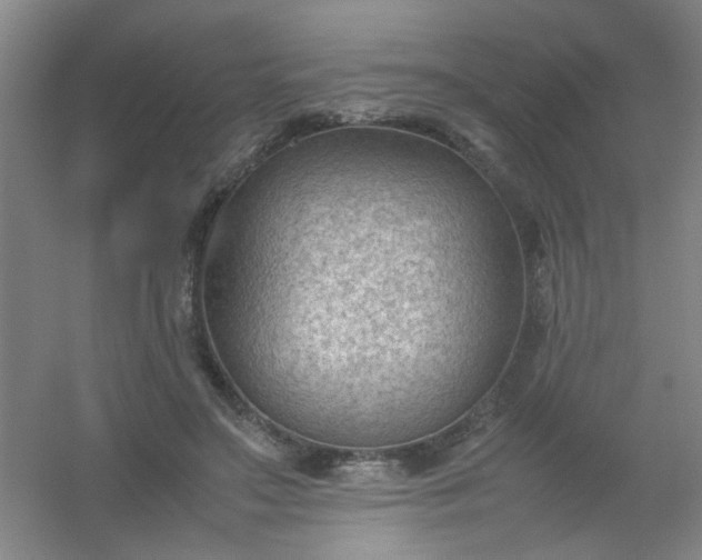 X0000054430499200508121822