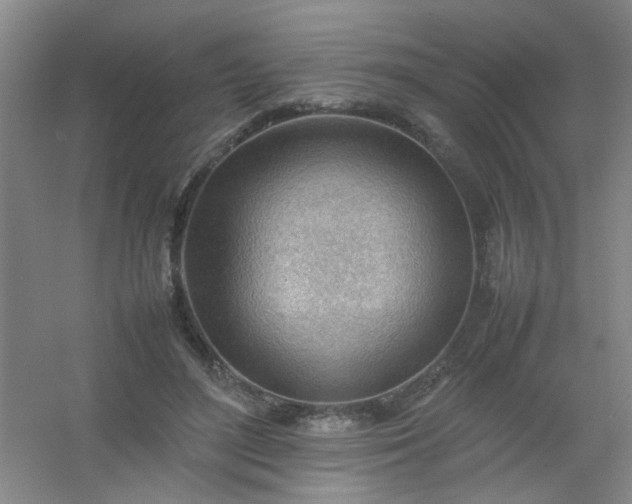 X0000054430500200508121822