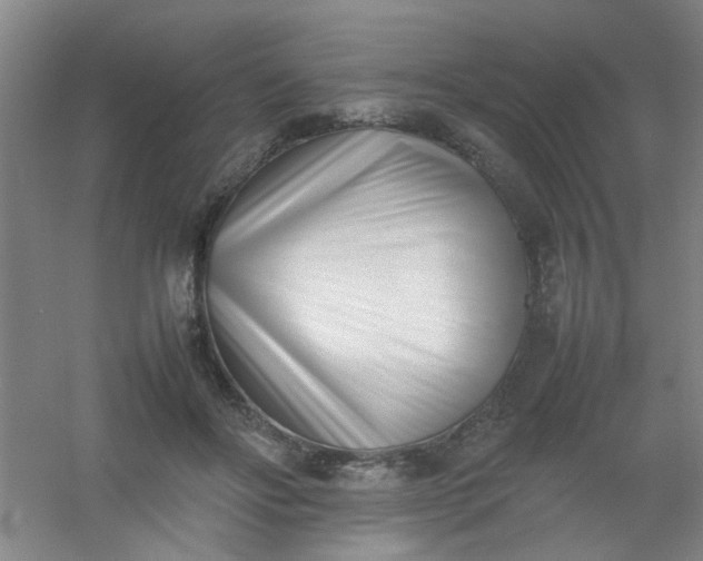 X0000054430502200508121822