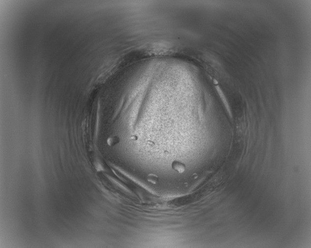 X0000054430503200508121822