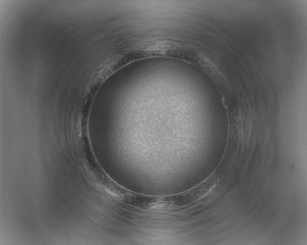 X0000054430504200508121822