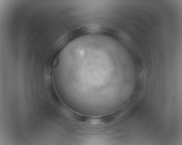 X0000054430507200508121822