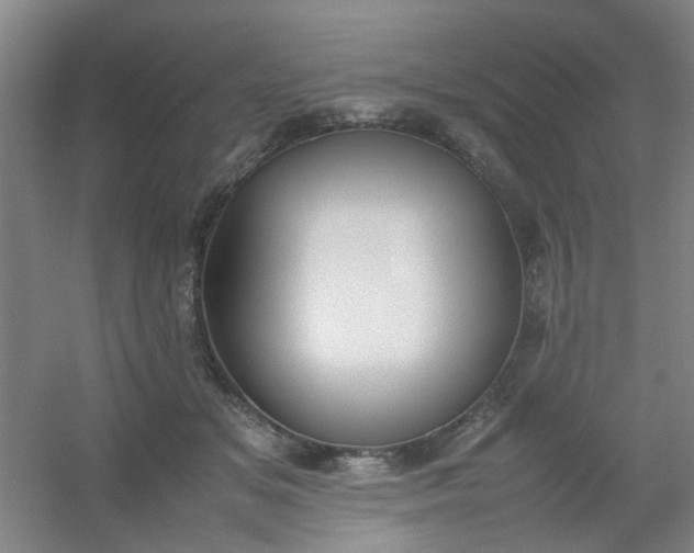 X0000054430509200508121822