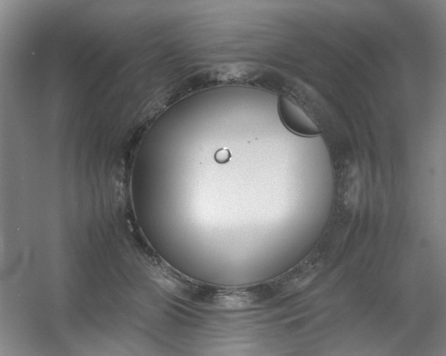 X0000054430510200508121822