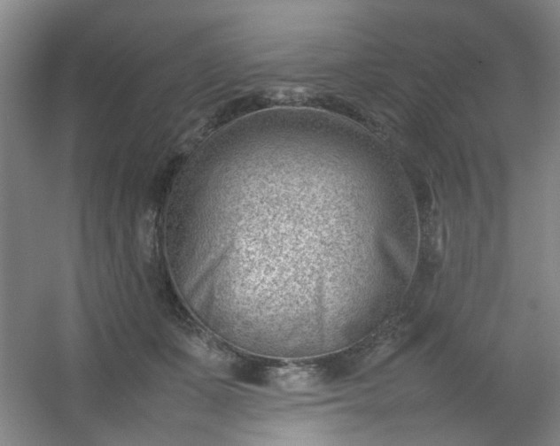 X0000054430511200508121822