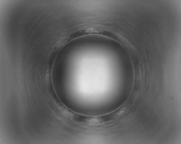 X0000054430513200508121822