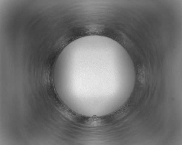 X0000054430514200508121822