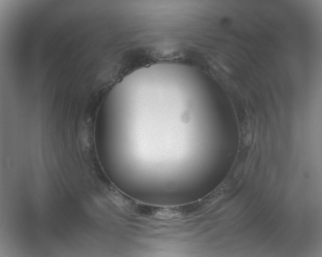 X0000054430515200508121822