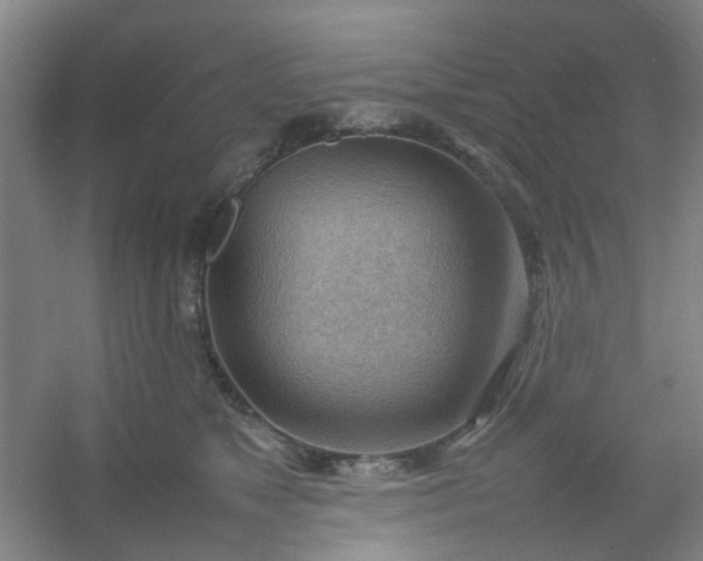 X0000054430517200508121822