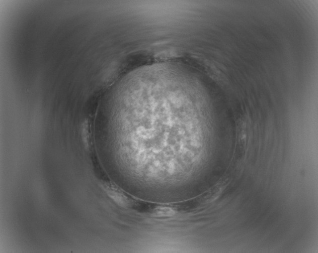 X0000054430519200508121822