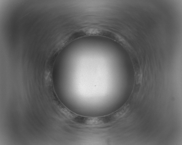 X0000054430521200508121822