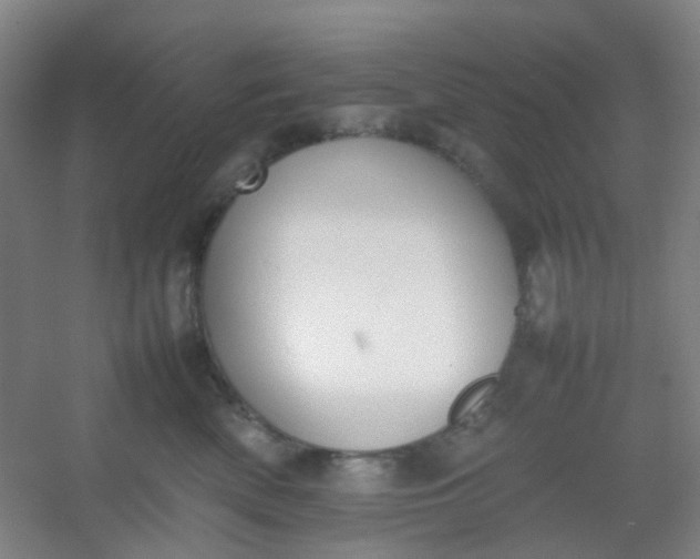 X0000054430522200508121822