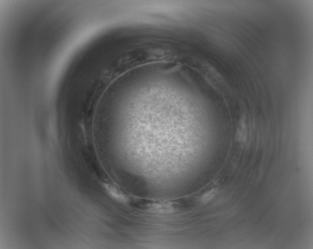 X0000054430524200508121822