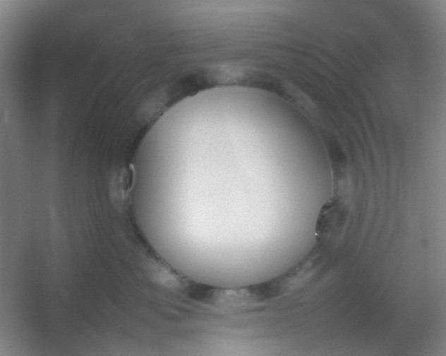 X0000054430525200508121822