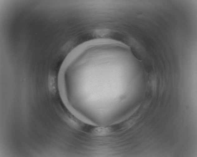 X0000054430526200508121822