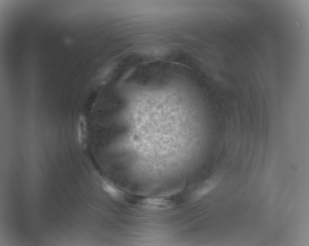 X0000054430528200508121821