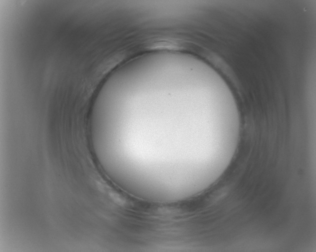 X0000054430529200508121821