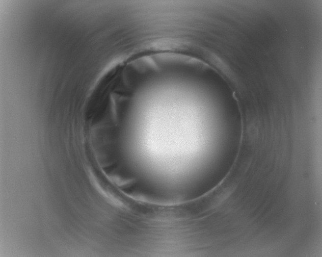 X0000054430530200508121821