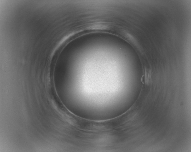 X0000054430531200508121821