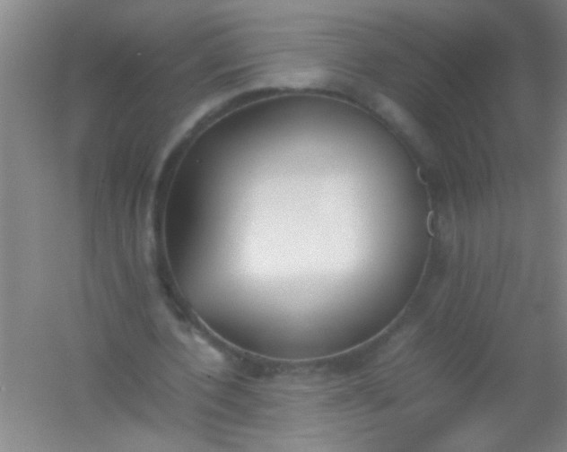 X0000054430532200508121821