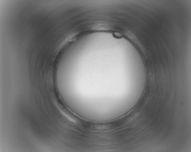 X0000054430533200508121821