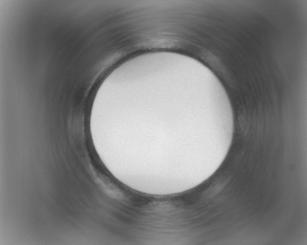 X0000054430534200508121821