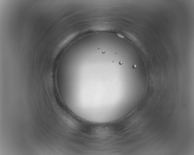 X0000054430535200508121821