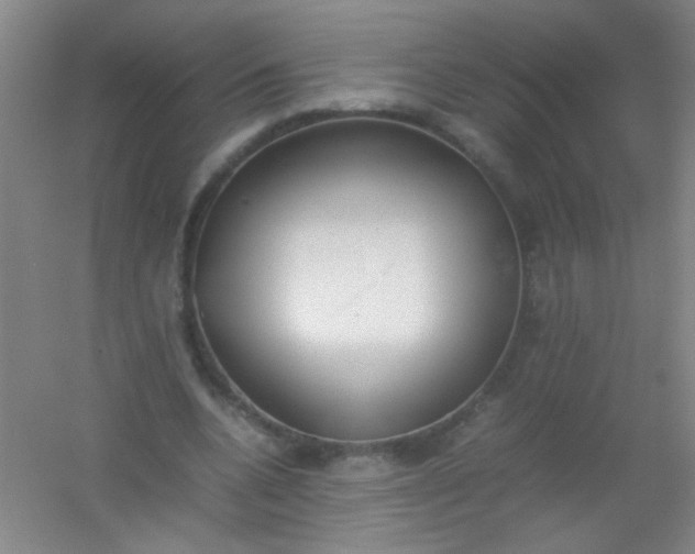 X0000054430536200508121821