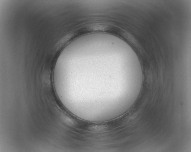 X0000054430537200508121821