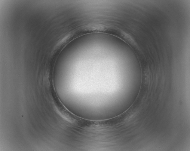 X0000054430538200508121821