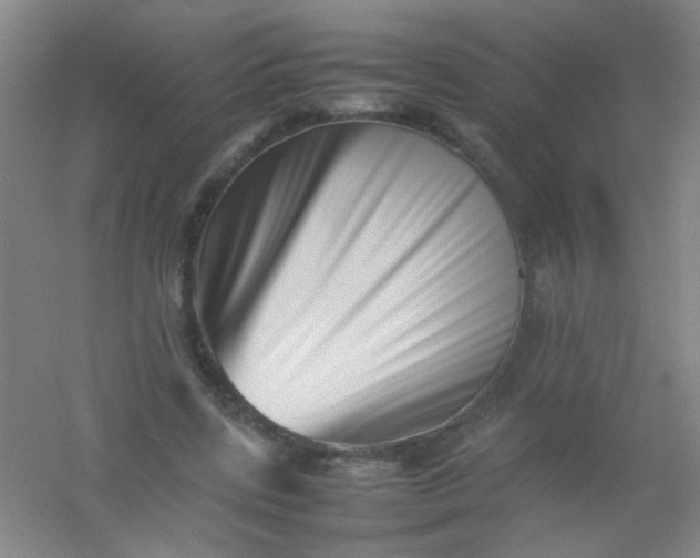 X0000054430539200508121821