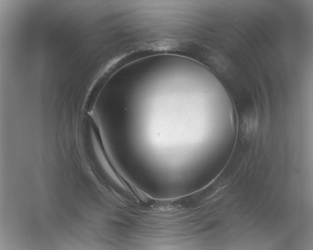 X0000054430540200508121821