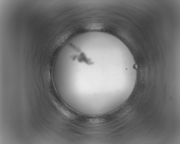 X0000054430541200508121821