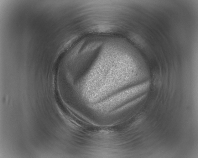 X0000054430542200508121821