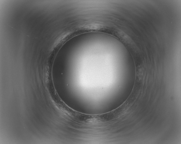 X0000054430544200508121821