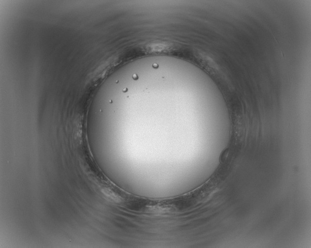 X0000054430545200508121821