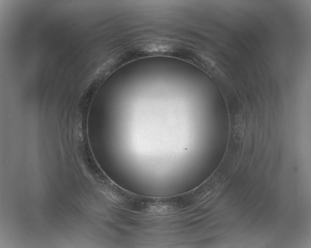 X0000054430547200508121821