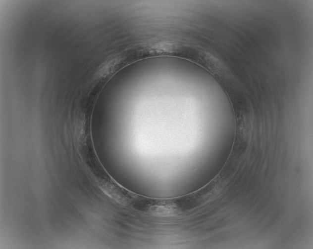 X0000054430548200508121821