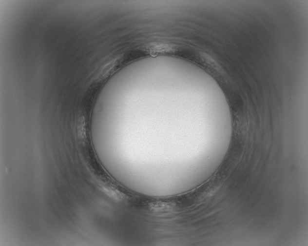 X0000054430549200508121821