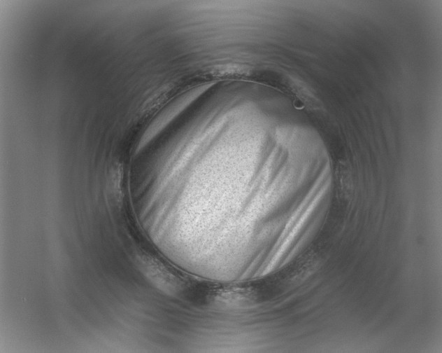 X0000054430550200508121821