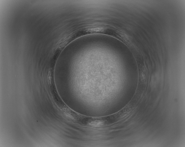 X0000054430551200508121821