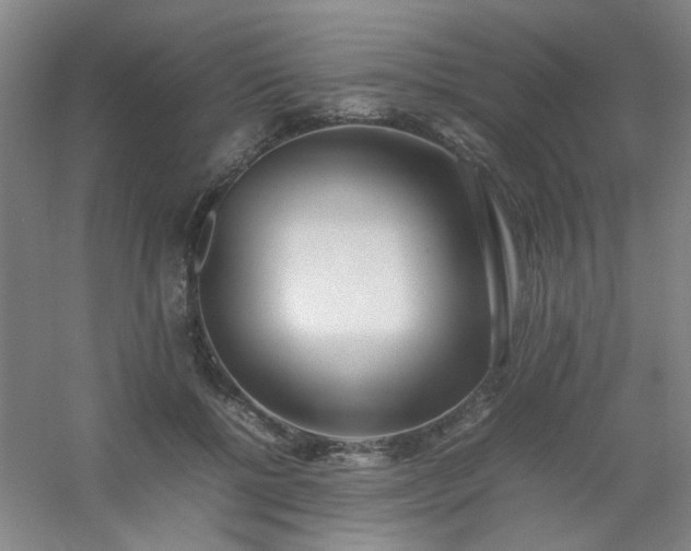 X0000054430552200508121821