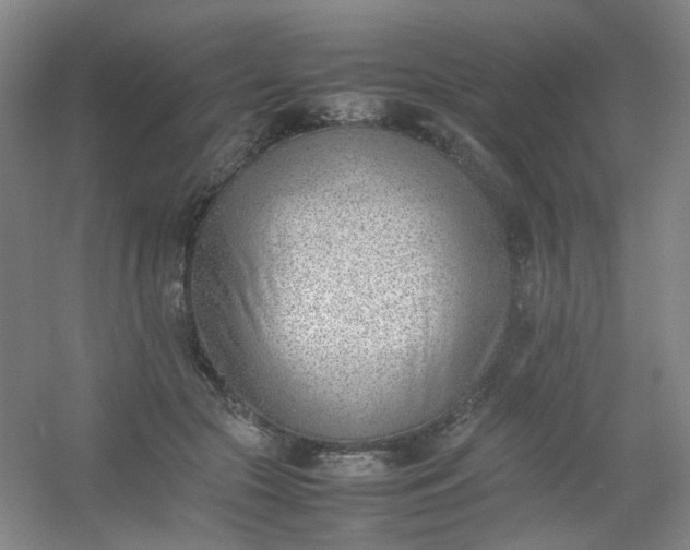 X0000054430553200508121821