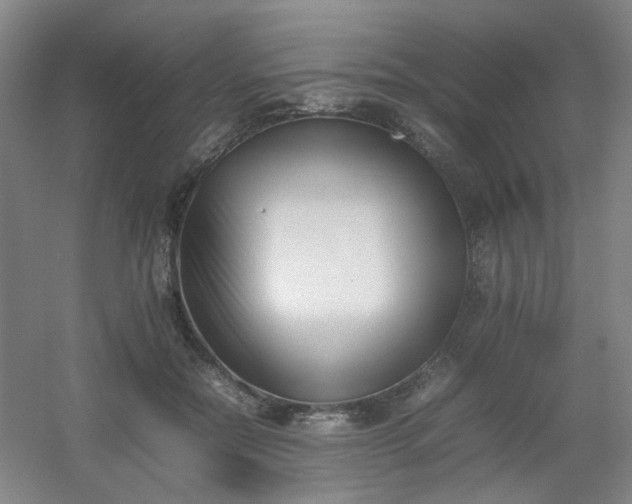 X0000054430554200508121821