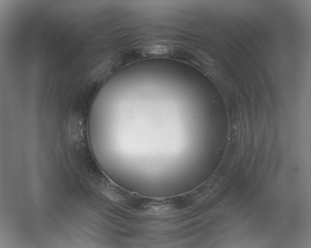 X0000054430555200508121821