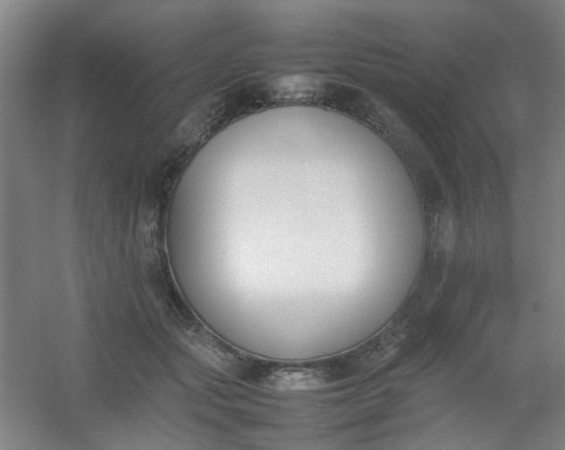 X0000054430557200508121821