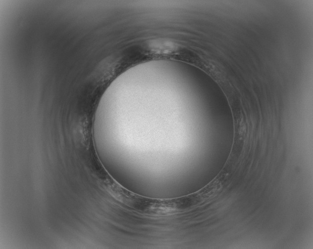 X0000054430559200508121821